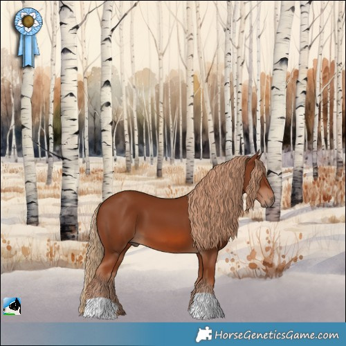 Horse Color:Chestnut 