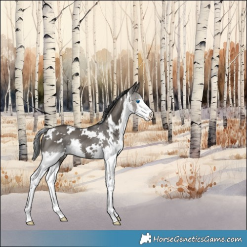 Horse Color:White Spotted Grullo Splash