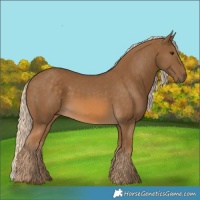 Horse Color:Chocolate Palomino 