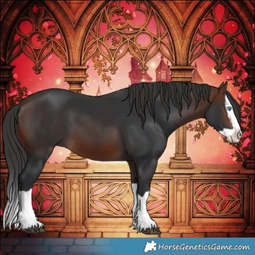 Horse Color:Brown Splash 
