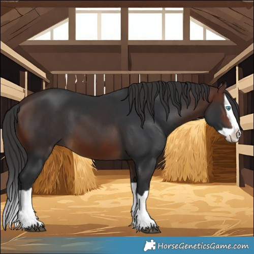 Horse Color:Brown Splash 
