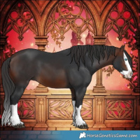 Horse Color:Brown Splash