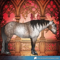 Horse Color:Gray Bay Sabino Rabicano and Gray Bay Dun Sabino Rabicano