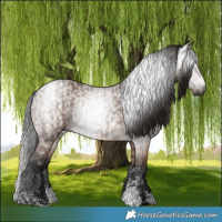 Horse Color:Gray Bay Sabino Rabicano  and Gray Bay Dun Sabino Rabicano 