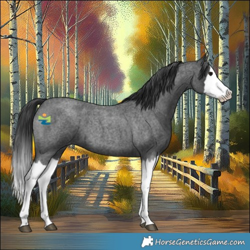 Horse Color:Blue Roan Splash 