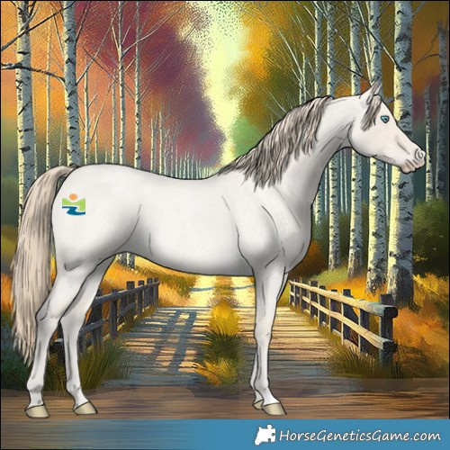 Horse Color:Smoky Creme Roan Dun