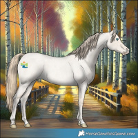 Horse Color:Smoky Creme Roan Dun 