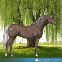 Horse Color:Silver Black 