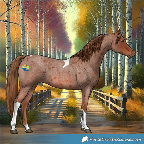 Horse Color:Red Roan Tobiano 