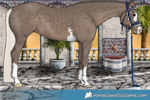 Horse Color:Silver Black 