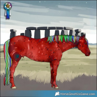 Horse Color:ERROR: UNKNOWN ANOMALY