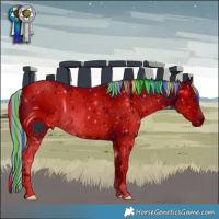 Horse Color:ERROR: UNKNOWN ANOMALY