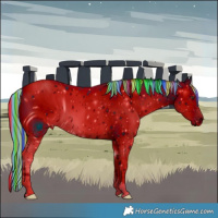 Horse Color:ERROR: UNKNOWN ANOMALY