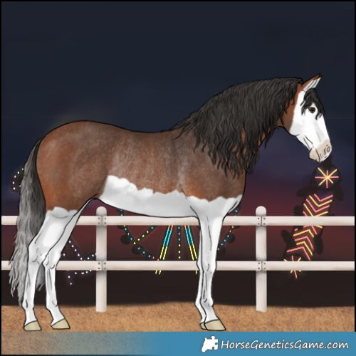 Horse Color:Bay Splash Rabicano 