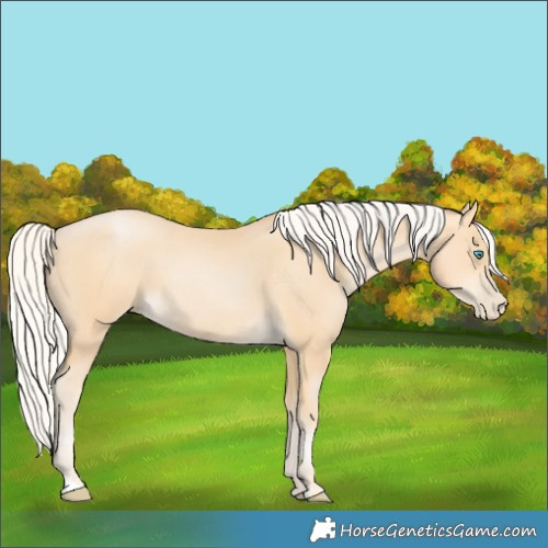 Horse Color:Silver Buckskin Pearl
