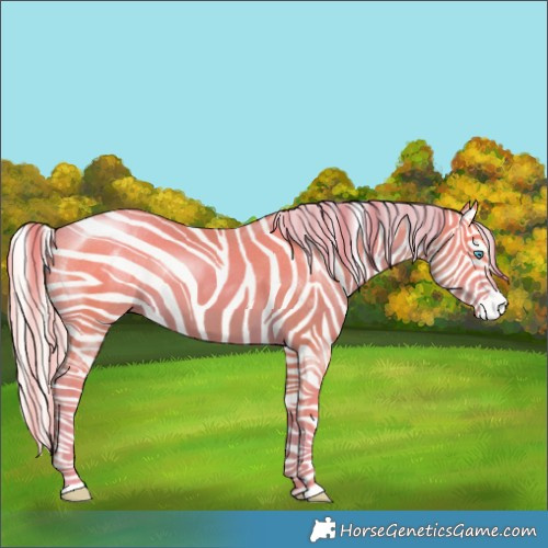 Horse Color:Silver Buckskin Pearl 