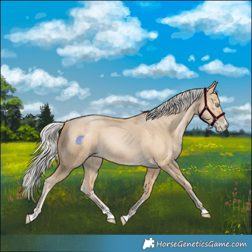 Horse Color:Silver Smoky Black Pearl 