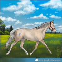 Horse Color:Silver Smoky Black Pearl 