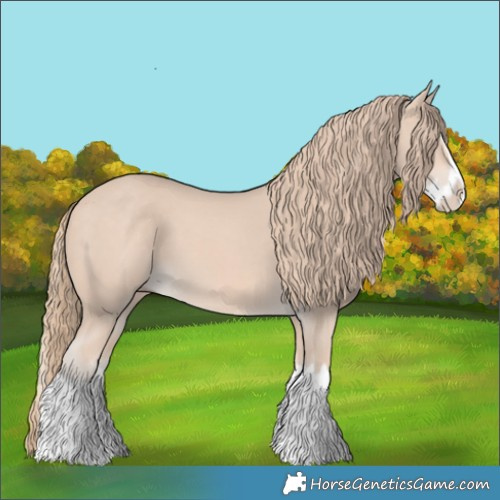 Horse Color:Perlino Splash