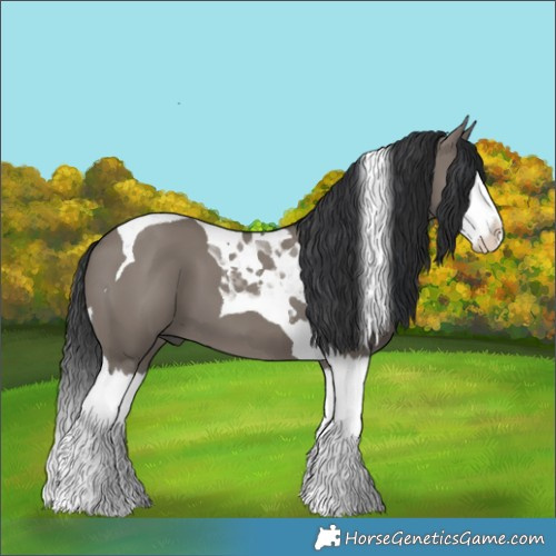 Horse Color:Grullo Splash Tobiano 