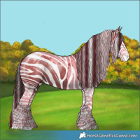 Horse Color:Grullo Splash Tobiano 