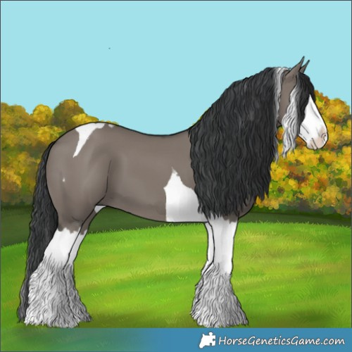 Horse Color:Grullo Splash Tobiano 