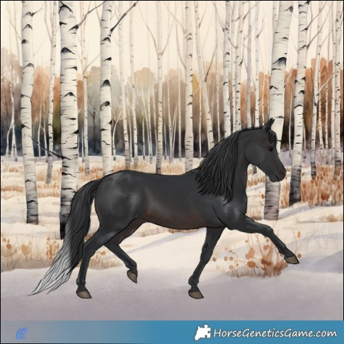Horse Color:Brown 