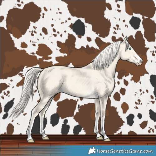 Horse Color:Cremello Dun 