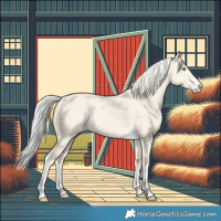 Horse Color:Cremello Dun 