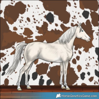 Horse Color:Cremello Dun 