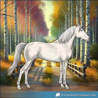Horse Color:Cremello Dun 