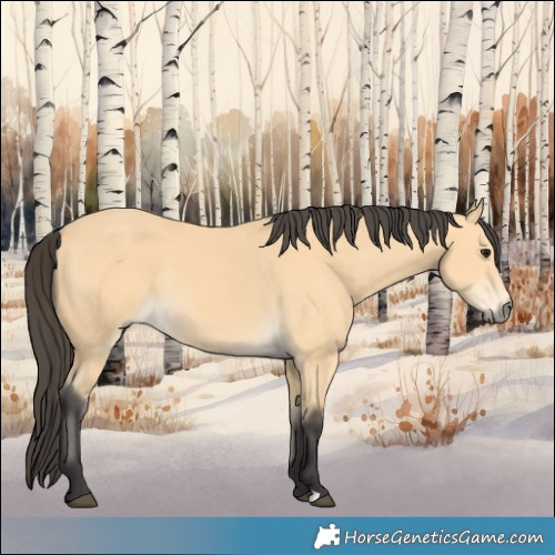 Horse Color:Buckskin Rabicano 