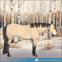 Horse Color:Buckskin Rabicano 