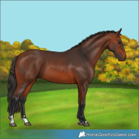 Horse Color:Brown 