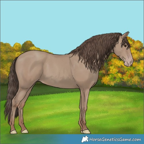 Horse Color:Classic Champagne 