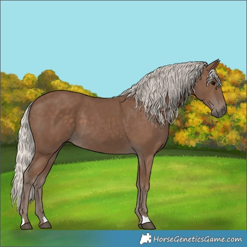 Horse Color:Silver Black