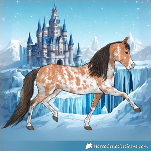 Horse Color:Bay Sabino