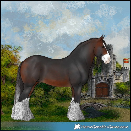 Horse Color:Bay Splash 