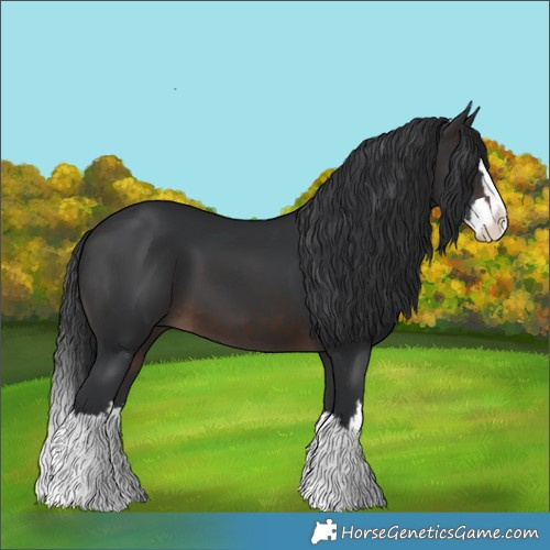 Horse Color:Brown Splash