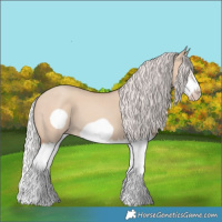 Horse Color:Silver Classic Champagne Dun Splash Frame