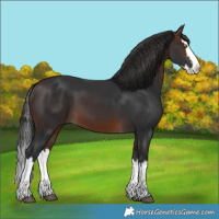 Horse Color:Brown Splash 