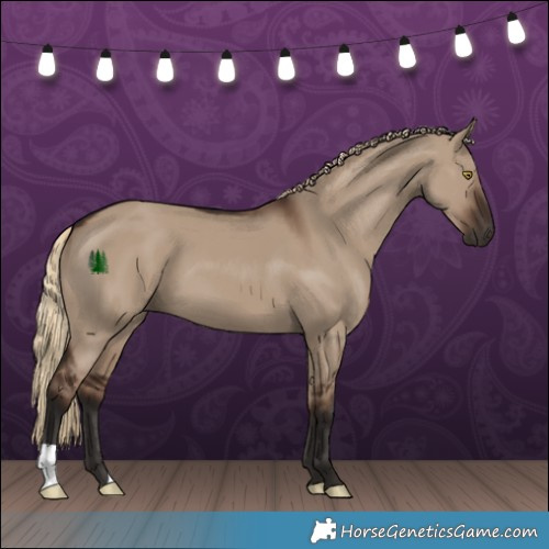 Horse Color:Liver Red Dun 