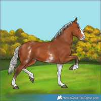 Horse Color:White Spotted Silver Bay Splash 