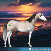 Horse Color:Amber Champagne Roan Splash 