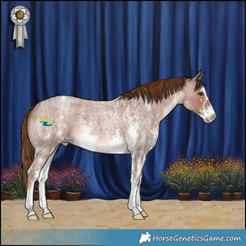 Horse Color:Red Roan Sabino 