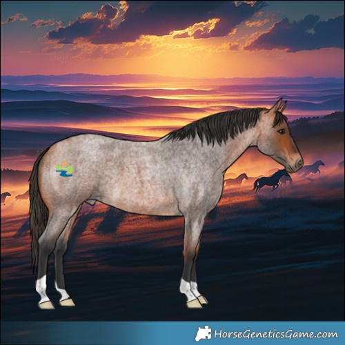 Horse Color:Bay Roan 