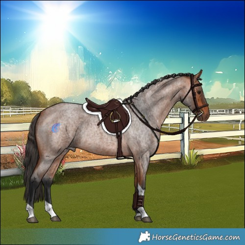 Horse Color:Bay Roan Tobiano Rabicano 