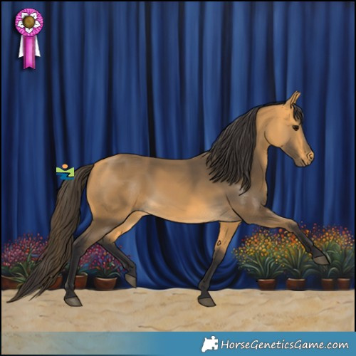 Horse Color:Buckskin