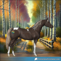 Horse Color:Liver Chestnut Tobiano Rabicano 