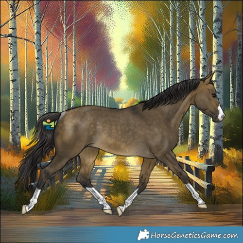 Horse Color:Buckskin Dun Rabicano